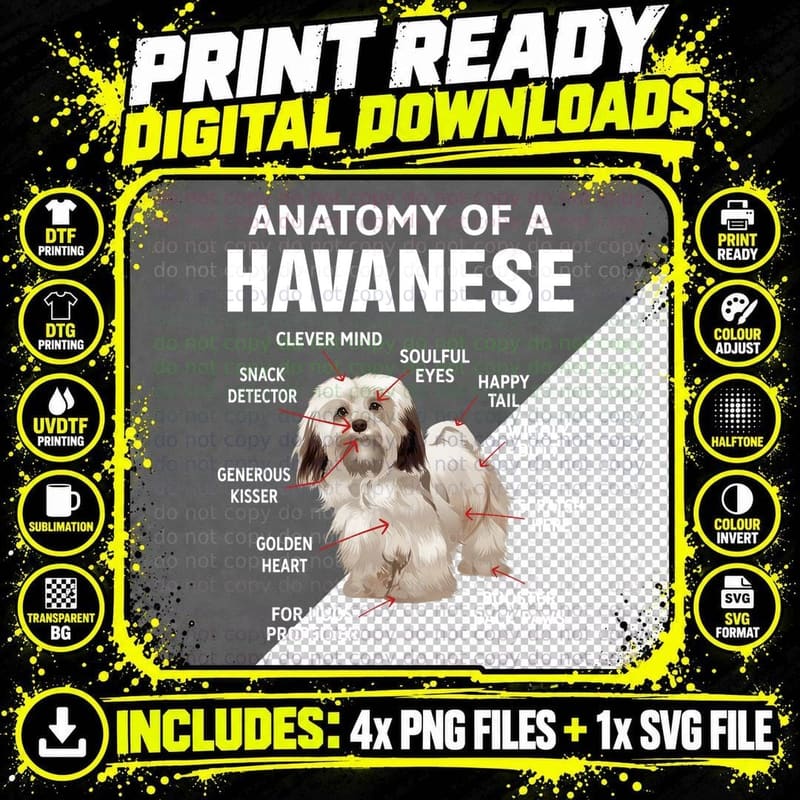 Havanese Dog Breed Anatomy T-Shirt, Funny Animal Design Png SVG Digital Bundle