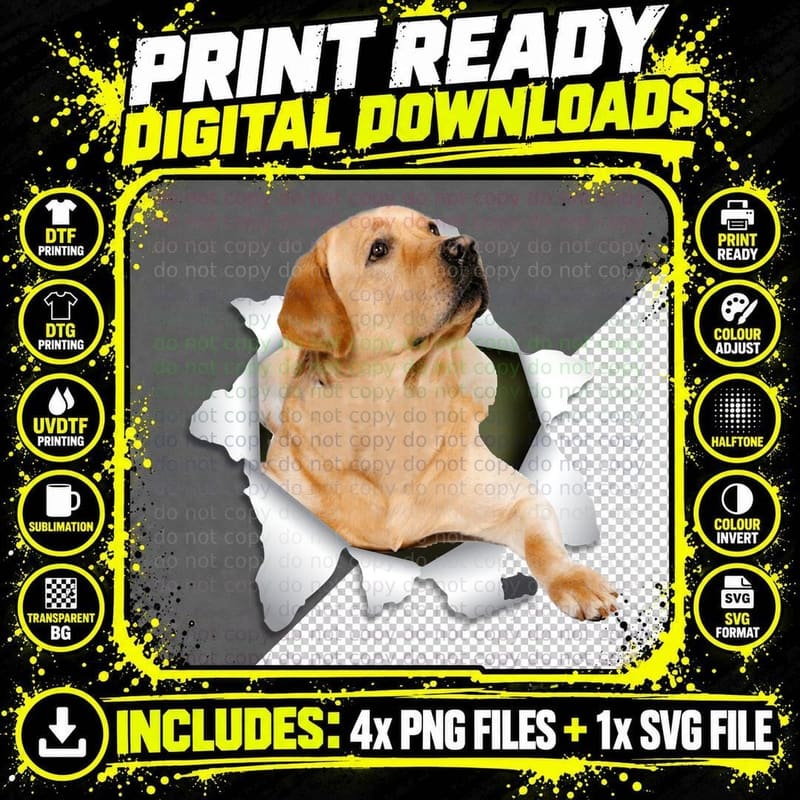 Labrador Retriever T-Shirt, Pet Lover Apparel Png SVG Digital Bundle