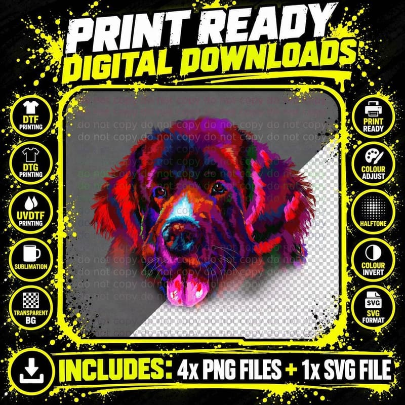 Newfoundland Dog Portrait T-Shirt, Pop Art Style Png SVG Digital Bundle