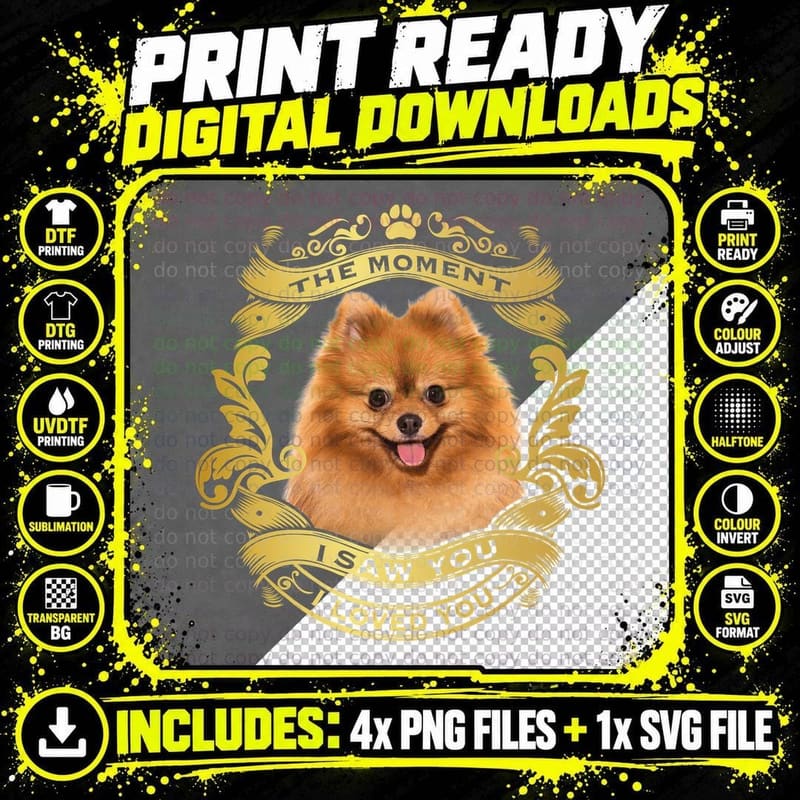 Pomeranian T-Shirt, Adorable Fluffy Dog Breed Png SVG Digital Bundle