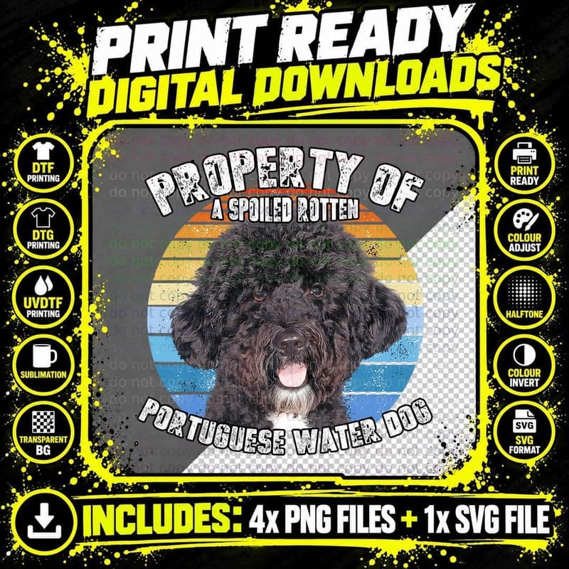 Portuguese Water Dog Retro Property of T-Shirt Png SVG Digital Bundle