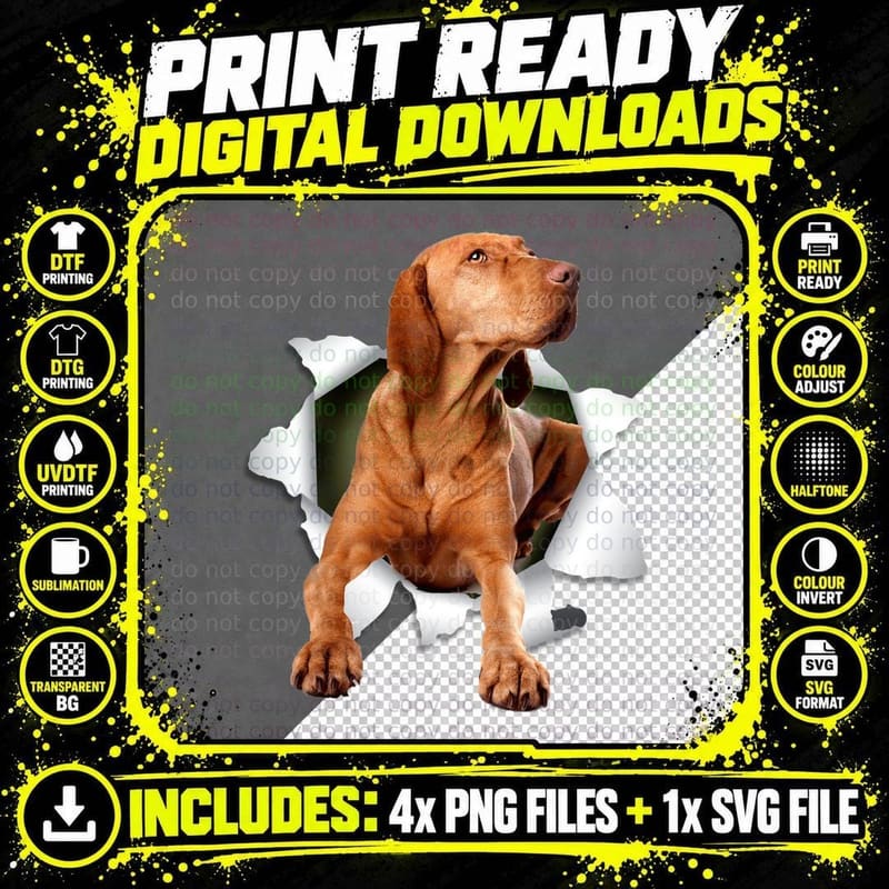 Vizsla Dog T-Shirt, Animal Lover Apparel, Pet Owner Gift Png SVG Digital Bundle