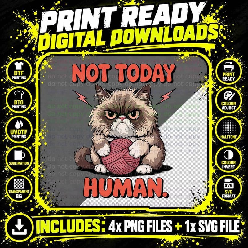 Not Today Human. Funny Cat T-Shirt Png SVG Digital Bundle
