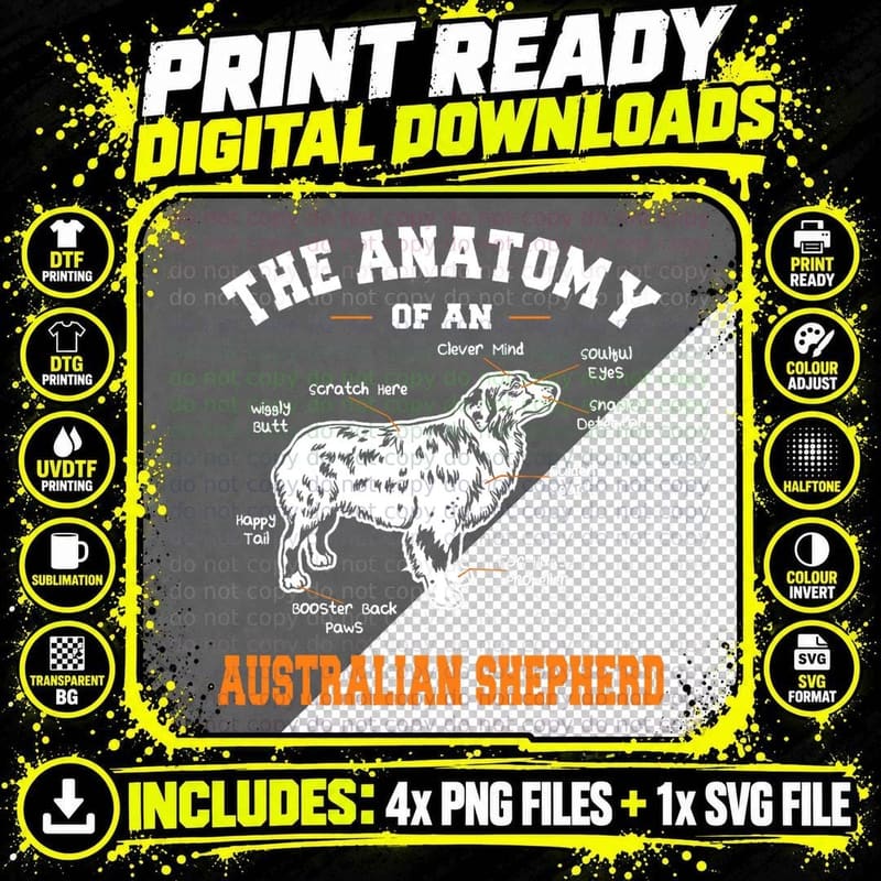 Anatomy of an Aussie Shepherd T-Shirt, Pet Lover Apparel Png SVG Digital Bundle