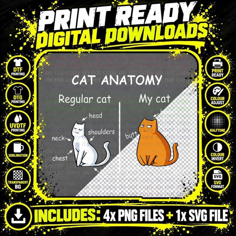 Cat Anatomy Kittens Lover T-Shirt, Funny Science Teacher Png SVG Digital Bundle