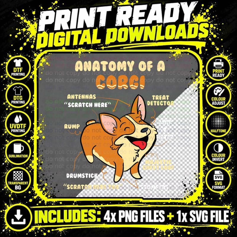 Corgi Anatomy T-Shirt, Pet Dog Lover Apparel Png SVG Digital Bundle