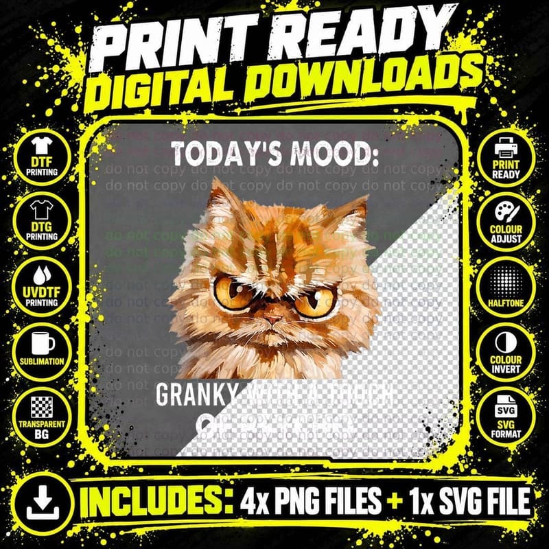 Cranky Cat Today Mood T-Shirt, Funny Cat Mood Png SVG Digital Bundle