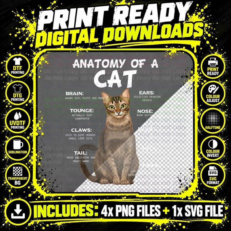 Funny Cat Anatomy T-Shirt, Cats 365, Pet Lover Apparel Png SVG Digital Bundle