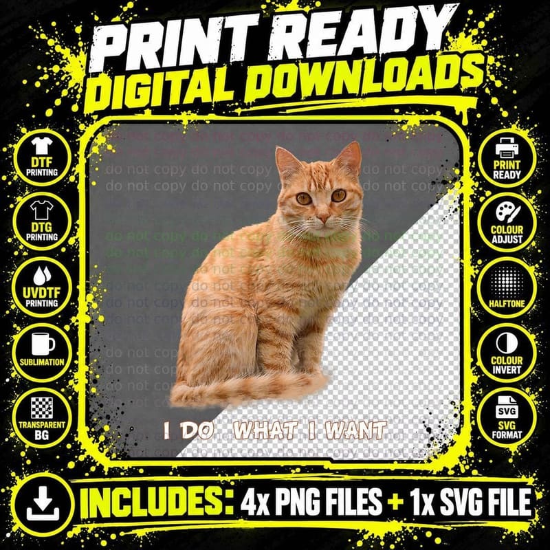 Funny Orange Tabby Cat T-Shirt, Sassy Cat Lover Gift Png SVG Digital Bundle