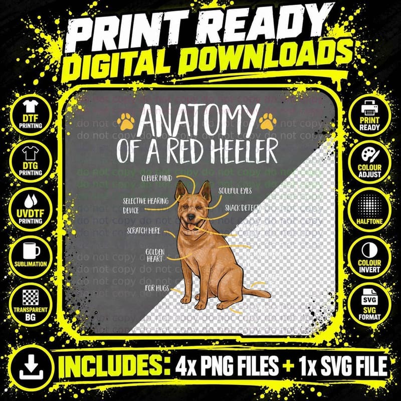 Red Heeler Australian Cattle Dog T-Shirt Png SVG Digital Bundle