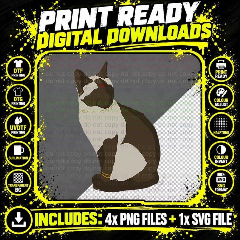 Siamese Kitten Cat T-Shirt, Indian Graphic Design Png SVG Digital Bundle
