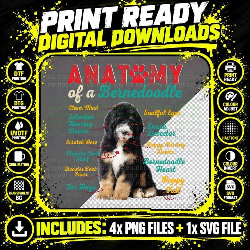 Vintage Anatomy of a Bernedoodle Funny Dog Lover T-Shirt Png SVG Digital Bundle