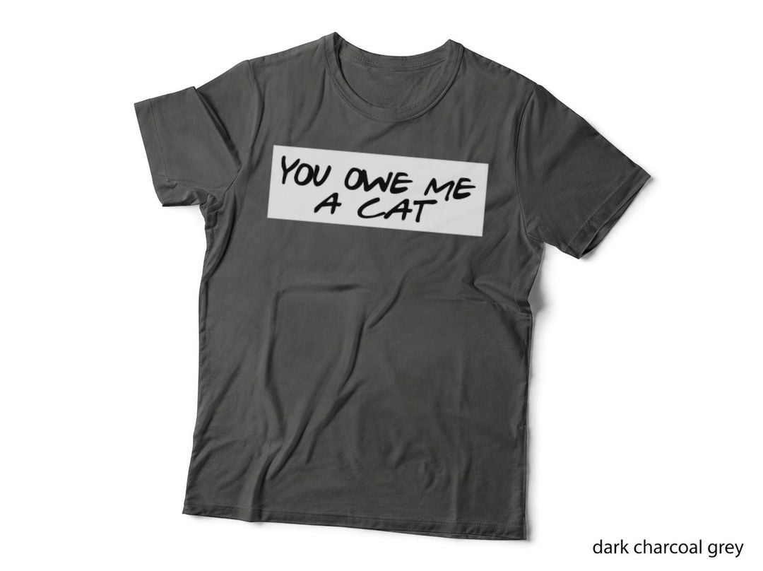 You Owe Me a Cat T-Shirt, Sarcasm Typography, Pet Lover Apparel