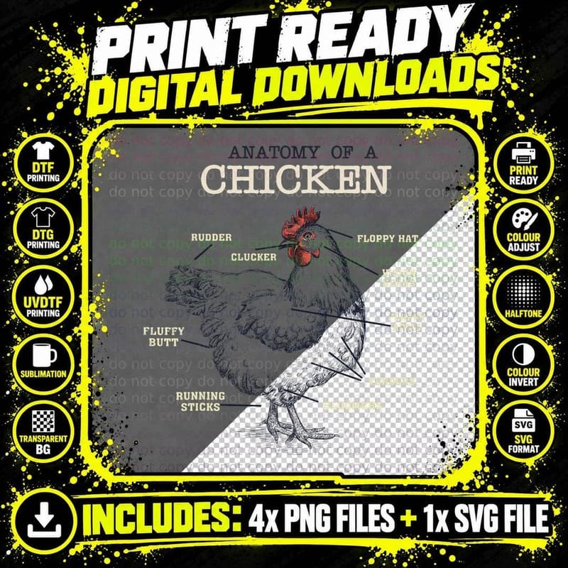 Anatomy of a Chicken T-Shirt, Funny Chicken Design Png SVG Digital Bundle