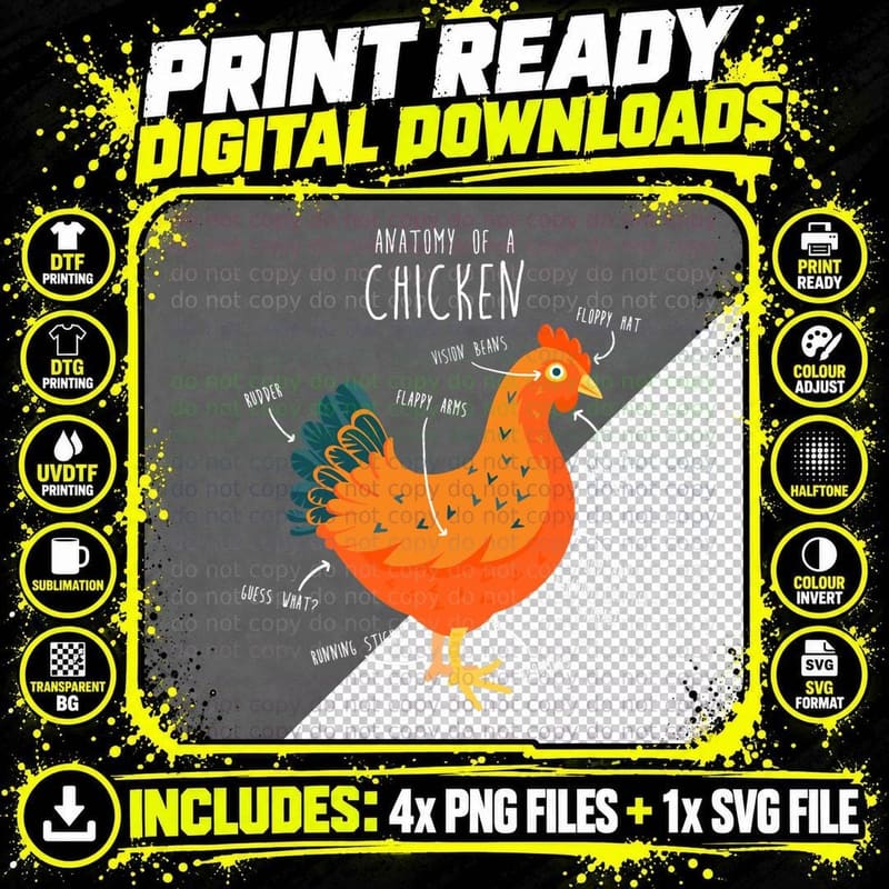 Anatomy of a Chicken T-Shirt, Funny Hen Diagram Print Png SVG Digital Bundle