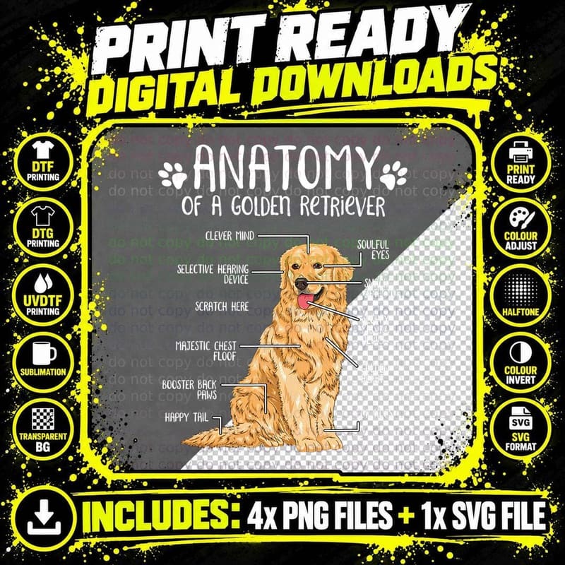Anatomy of a Golden Retriever, Snack Detector and Floof Png SVG Digital Bundle