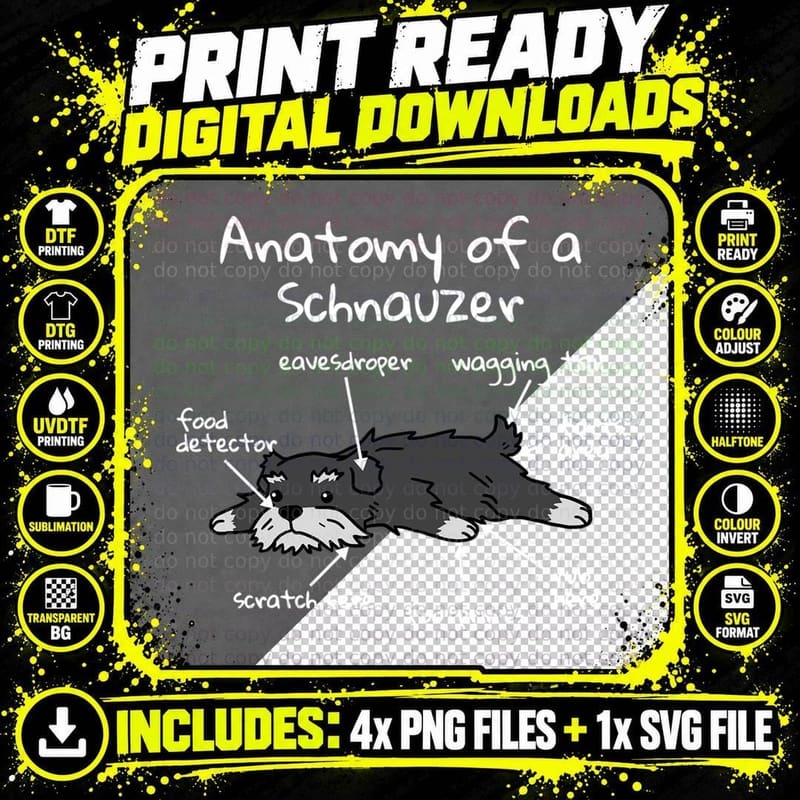 Anatomy of a Schnauzer, Dog Lover T-Shirt Png SVG Digital Bundle