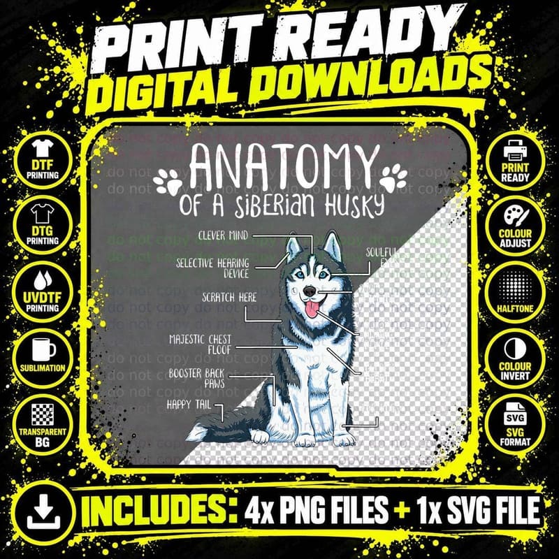 Anatomy of a Siberian Husky, Selective Hearing Diagram Png SVG Digital Bundle