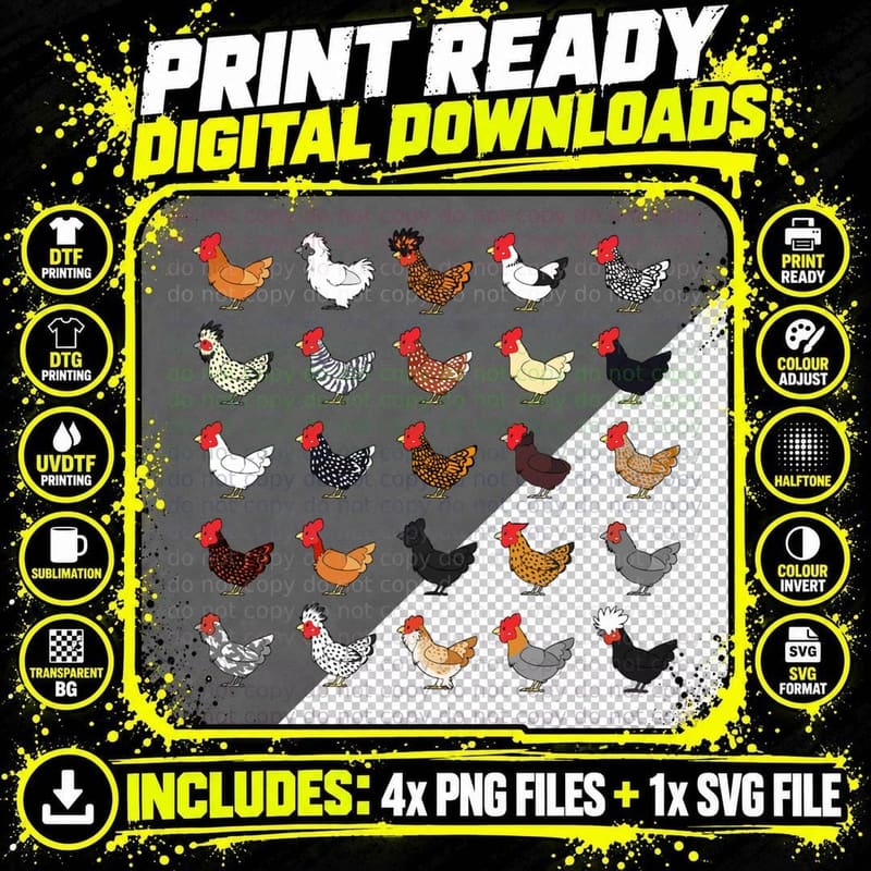 Chicken Breeds Chart Tee, Hen Rooster Identification Png SVG Digital Bundle