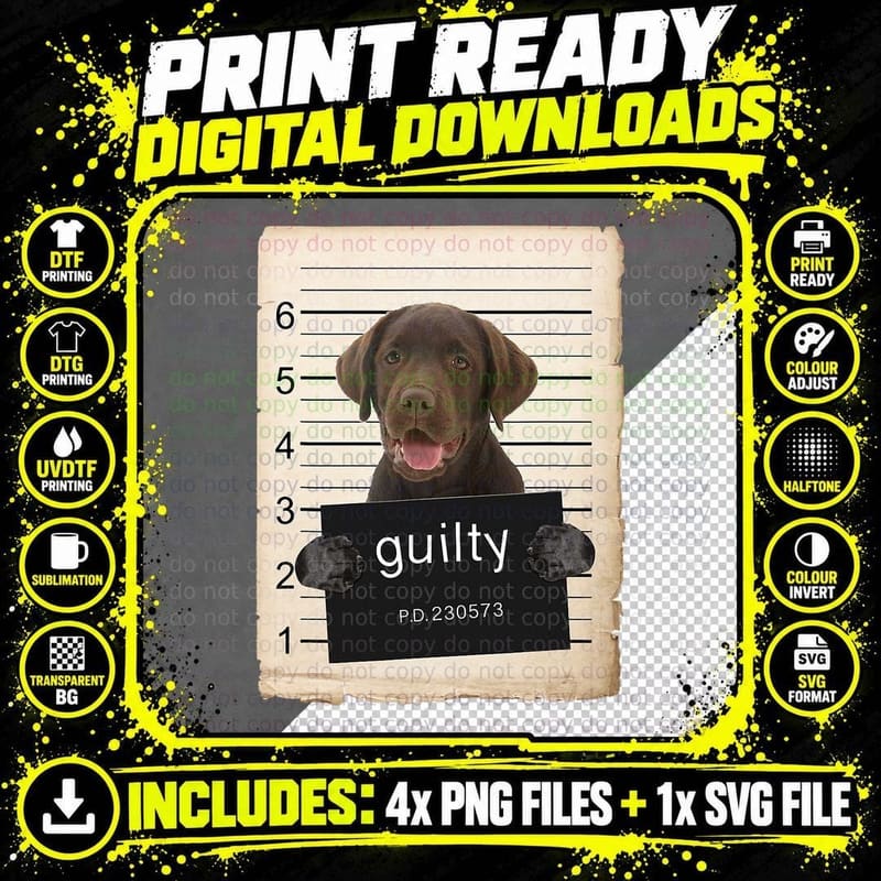 Chocolate Lab Mugshot Tee, Guilty Labrador Bad Dog Png SVG Digital Bundle