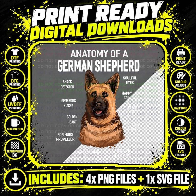 Dogs 365 Anatomy of a German Shepherd Dog Funny Gift Png SVG Digital Bundle