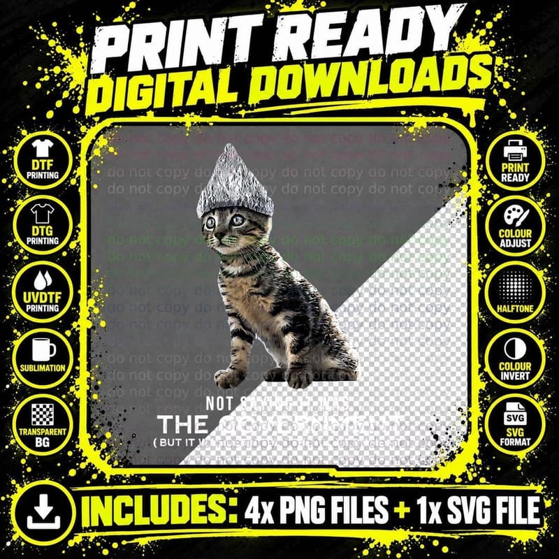 Funny Conspiracy Cat Tin Foil Hat Government Gift Men Png SVG Digital Bundle