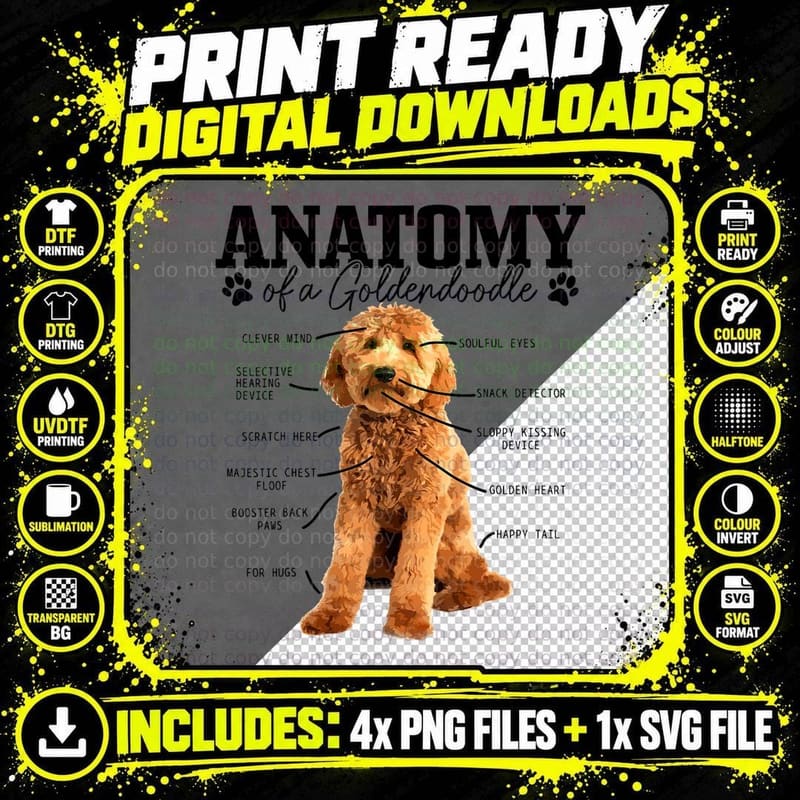 Goldendoodle Anatomy T-Shirt, Pet Lover Apparel Png SVG Digital Bundle