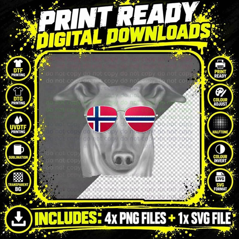Greyhound Dog Norway Flag Sunglasses Png SVG Digital Bundle