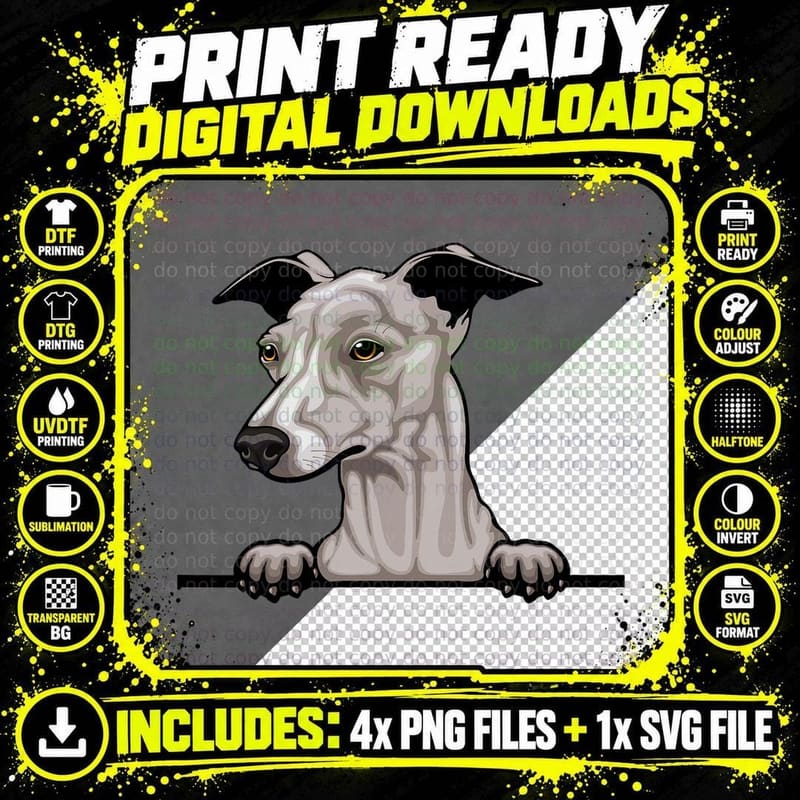 Italian Greyhound Dog Breed Popping up Fun Greyhound Png SVG Digital Bundle