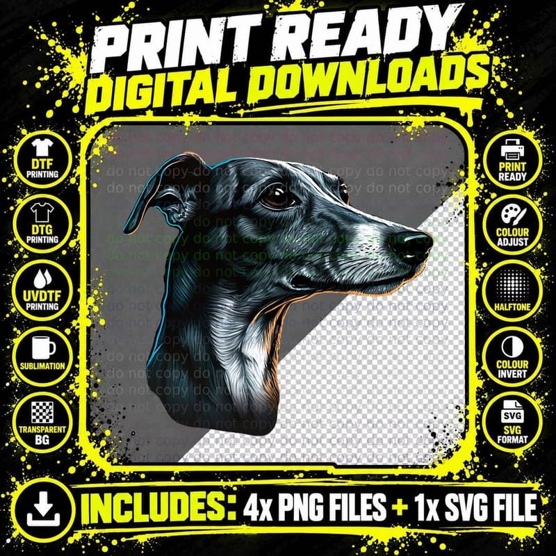 Italian Greyhound Dog Portrait T-Shirt, Vintage Style Png SVG Digital Bundle