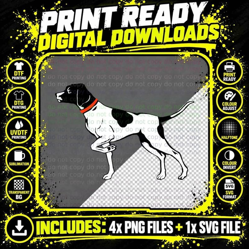 Pointer Dog Graphic English Pointer Dog Pointing Bird Png SVG Digital Bundle