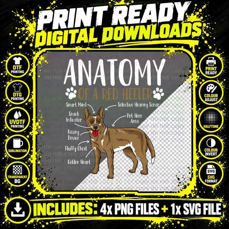 Red Heeler Dog Anatomy T-Shirt, Pet Lover Apparel Png SVG Digital Bundle