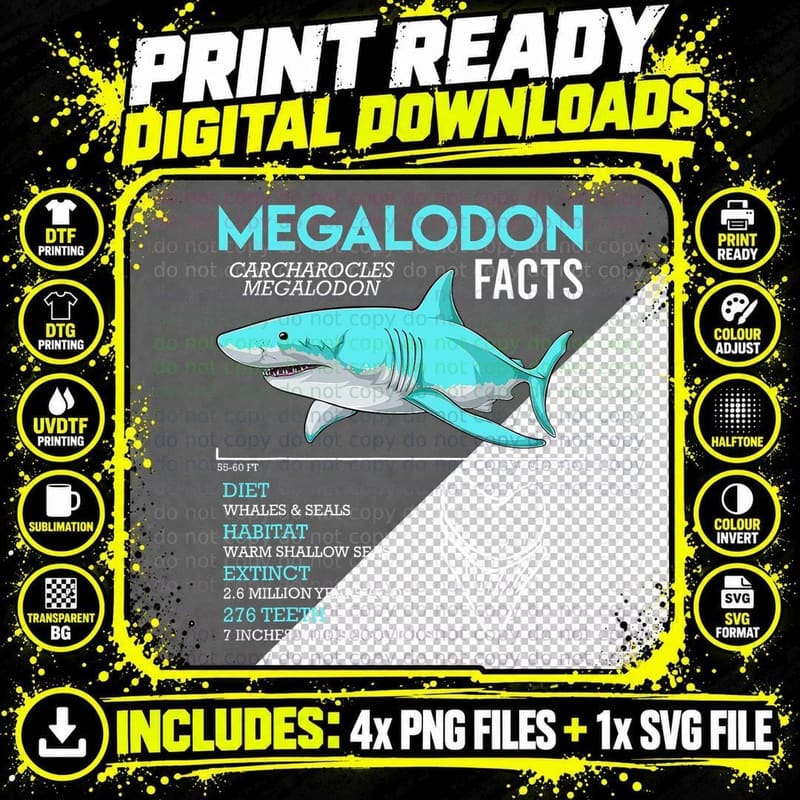Megalodon Facts T-Shirt, Giant Shark Print Png SVG Digital Bundle
