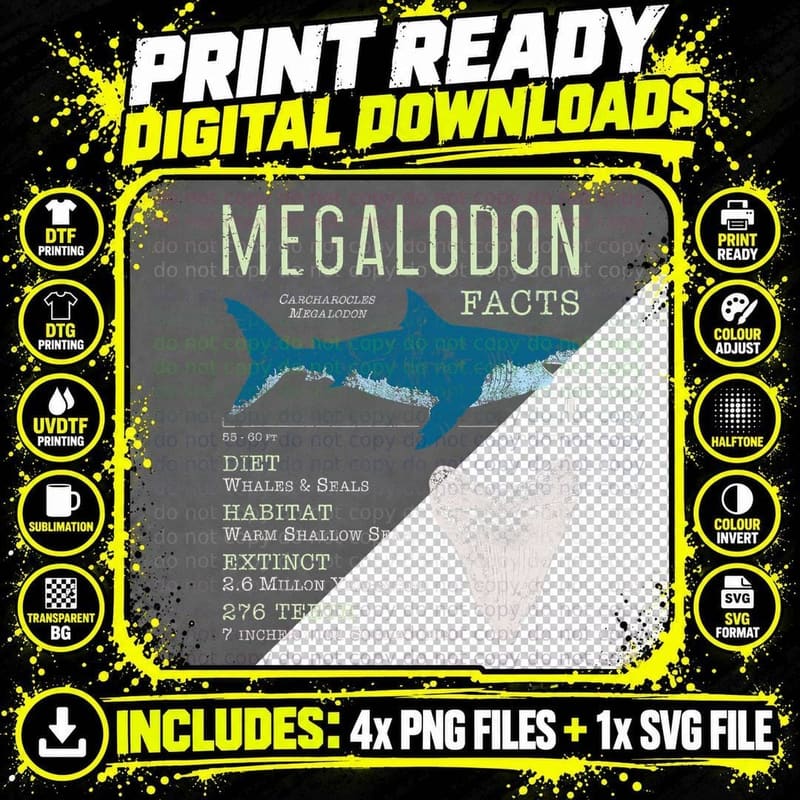 Megalodon T Shirt Meg Facts Funny Shark Lover T-Shirt Png SVG Digital Bundle