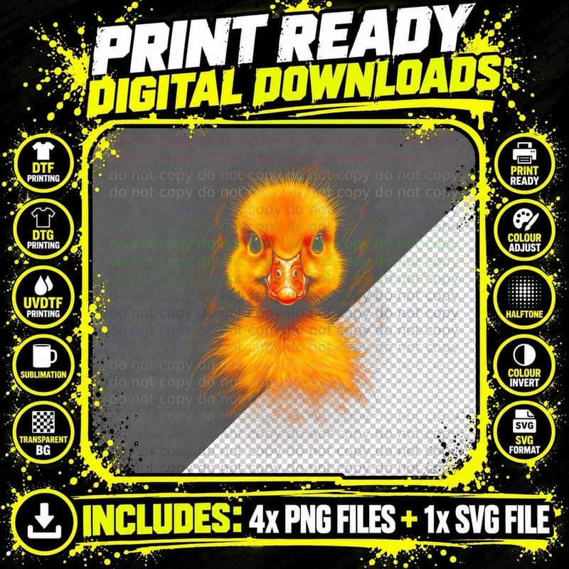 Pintinho T-Shirt, Bird Art Print, Bird Lover Gift Png SVG Digital Bundle