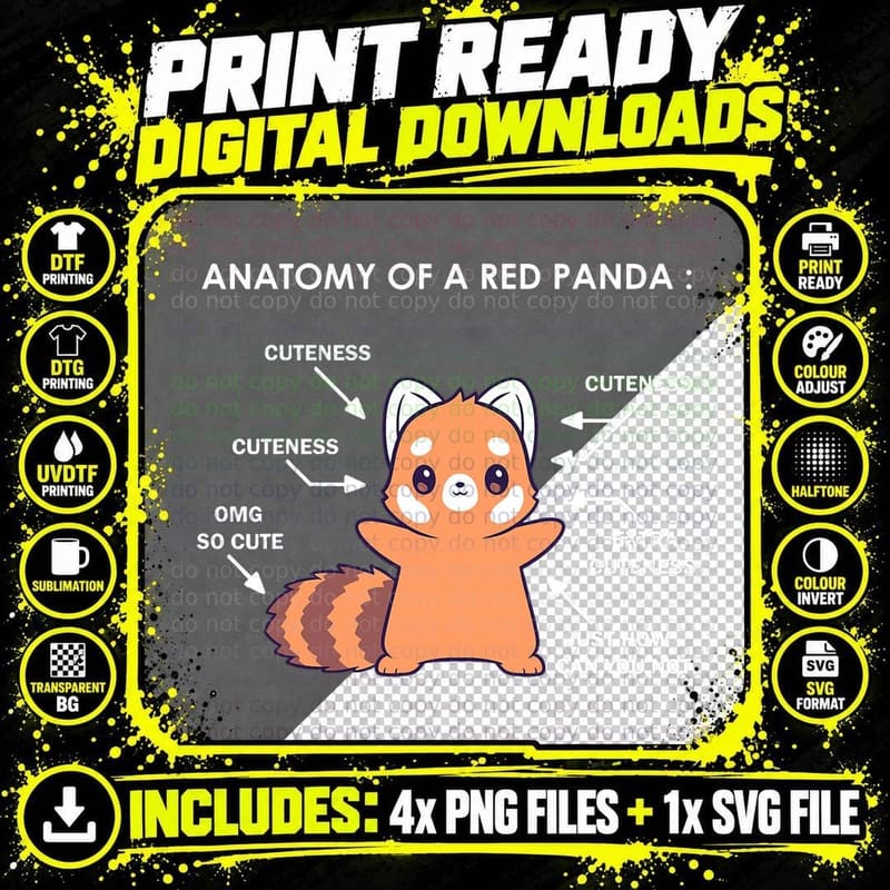 Red Panda Anatomy T-Shirt, Science Zoologist Png SVG Digital Bundle