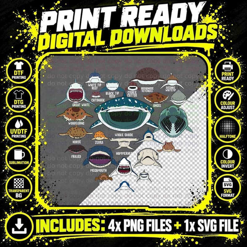 Types of Shark Identification Shark Faces T-Shirt Png SVG Digital Bundle