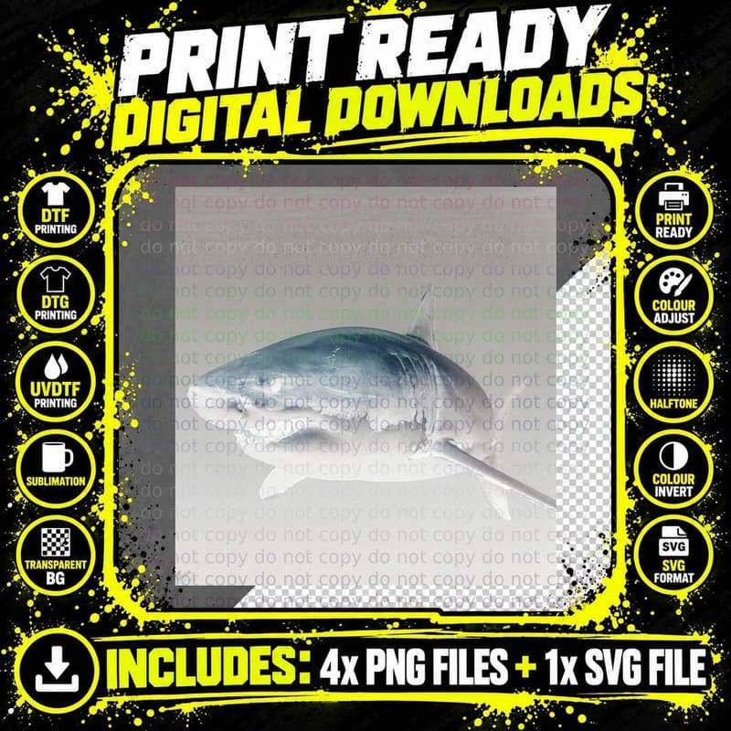 Underwater Great White Shark Photography - Shark Week 2 Png SVG Digital Bundle