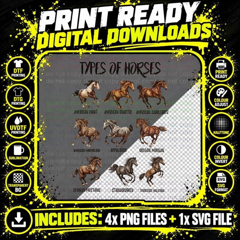 Vintage Retro Types of Horses, Horse Breed Png SVG Digital Bundle