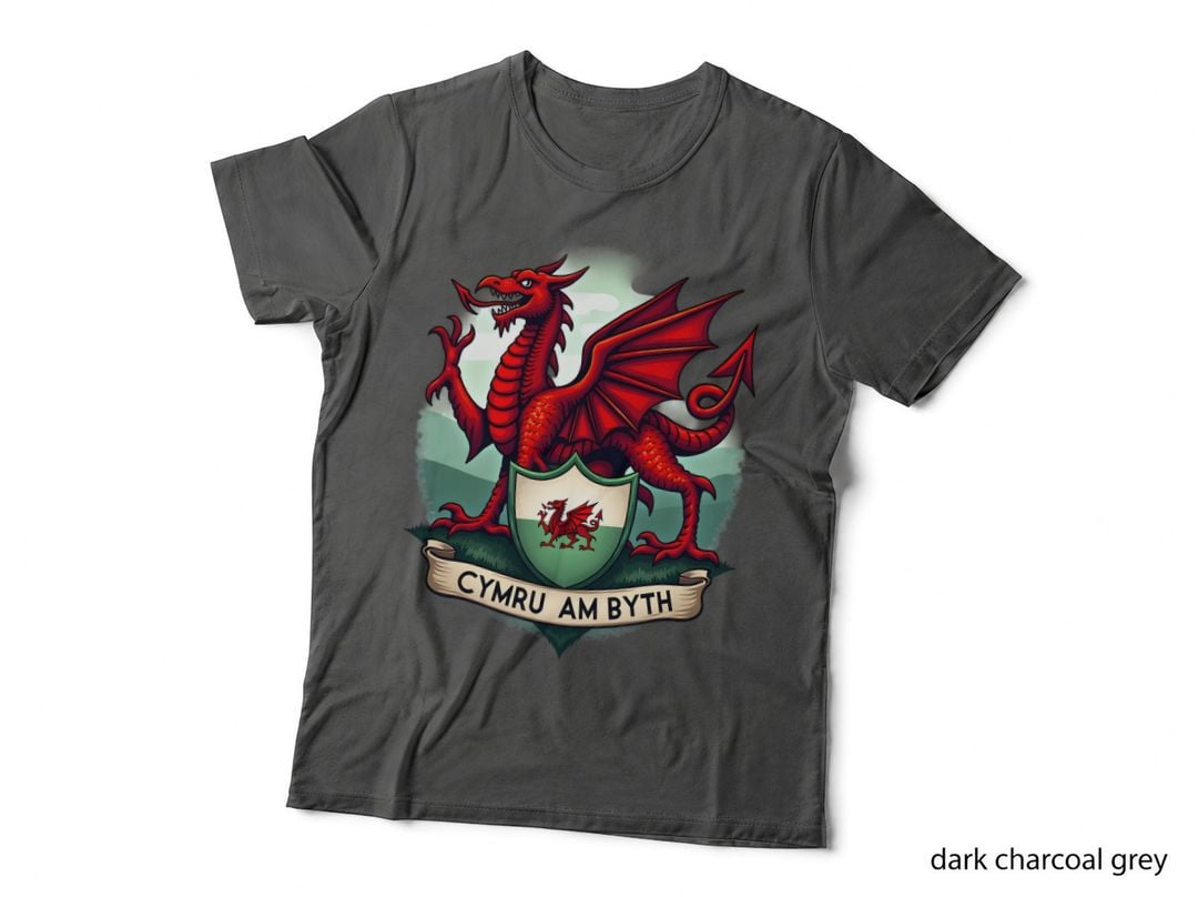 Cymru Am Byth Tee, Welsh Red Dragon Heritage Gift T-Shirt
