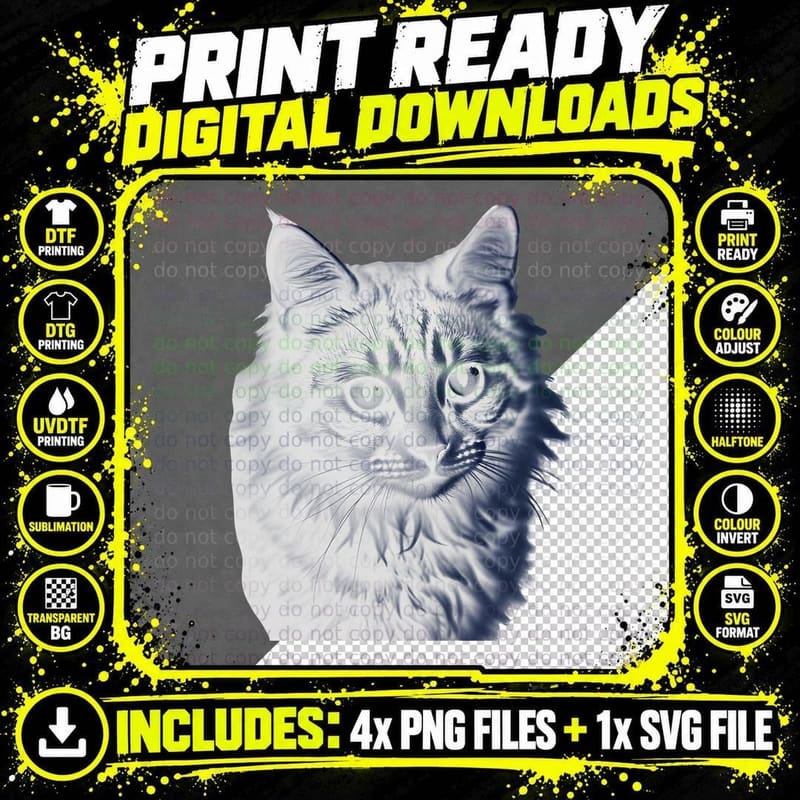 Realistic Tabby Cat Black White Portrait Long Haired Pet Png SVG Digital Bundle