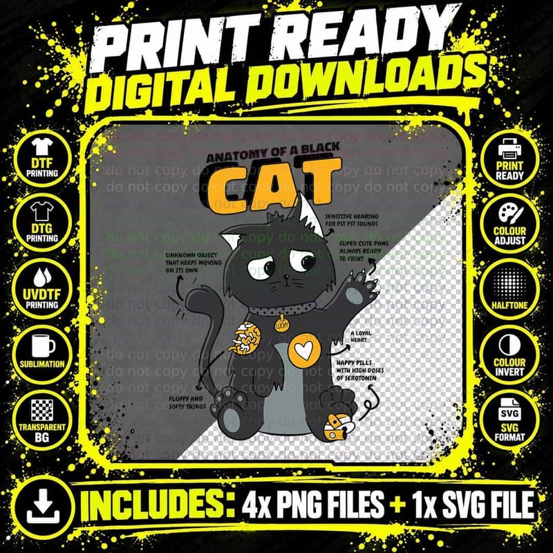 Anatomy of a Black Cat Shirt, Funny Cats for Kids Png SVG Digital Bundle