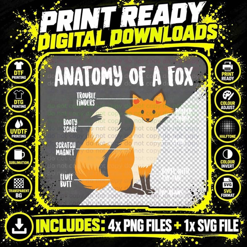 Anatomy of a Fox Cute Sweet Carnivore Funny Animal Gift Png SVG Digital Bundle
