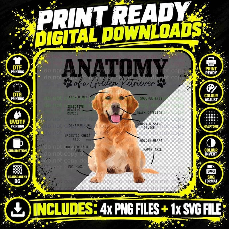 Anatomy of a Golden Retriever Funny Cute Dog Mom Dad Png SVG Digital Bundle