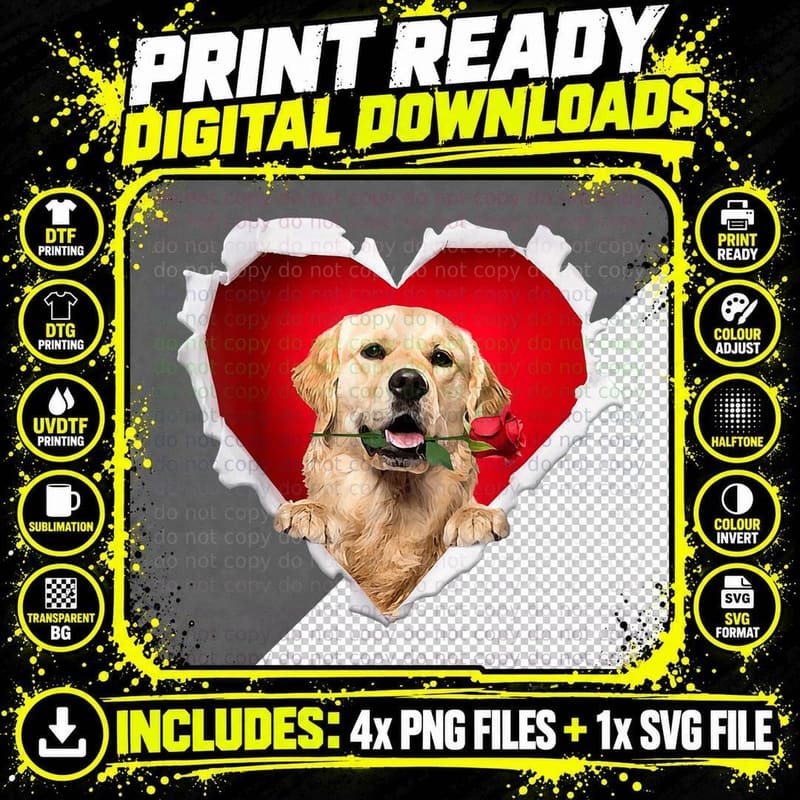 Golden Retriever Dog Rose Heart Valentines Day Couple Png SVG Digital Bundle