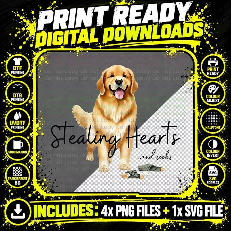 Golden Retriever Dog Stealing Hearts and Socks T-Shirt Png SVG Digital Bundle