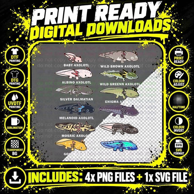 Types of Axolotl Fish - Fish Species Funny Axolotl Png SVG Digital Bundle