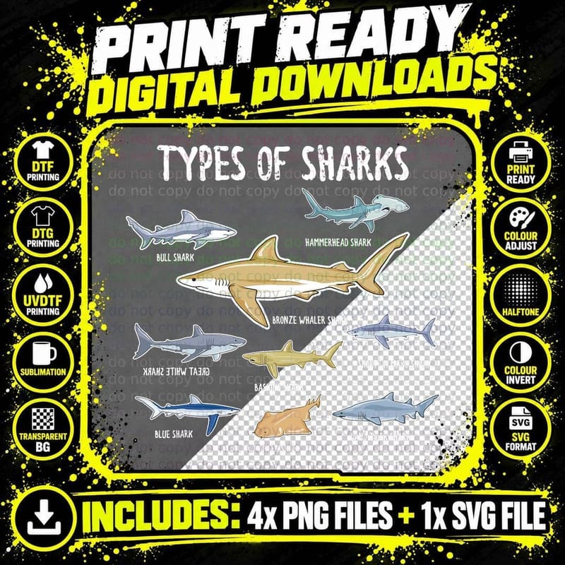 9 Types of Sharks Lover Educational Marine Biology Shark Png SVG Digital Bundle