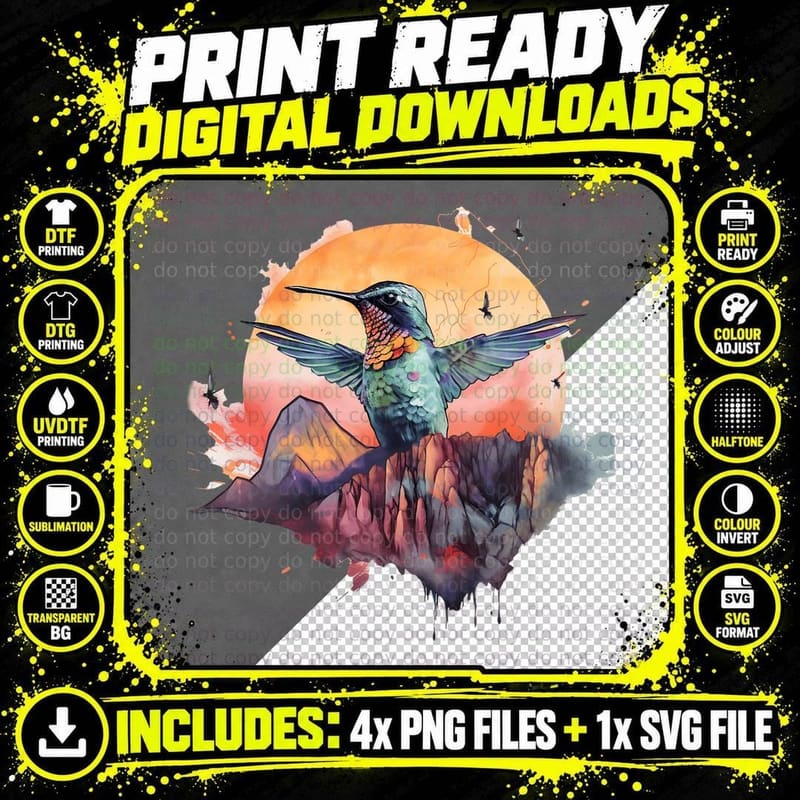 Colorful Hummingbird Bird Watching Earth Day Nature Png SVG Digital Bundle
