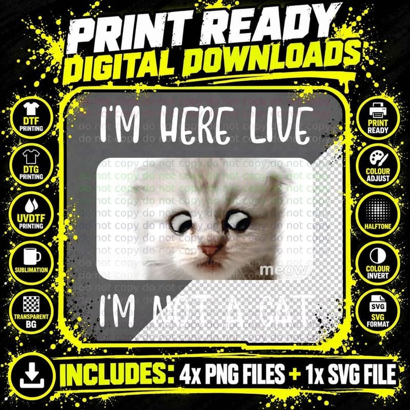 I'm Here Live, I'm Not a Cat Zoom Call Meme Humor Funny Png SVG Digital Bundle